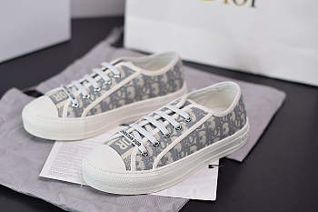 Dior Sneaker Gray 01