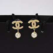 Chanel Earring 004 - 2