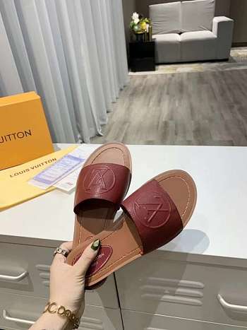 LV Shoes 01