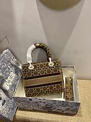 Dior Lady D-Lite Reverse 01 Size 24 x 20 x 11 cm - 5