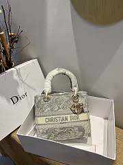 Dior Lady D-Lite Reverse 13 Size 24 x 20 x 11 cm - 1