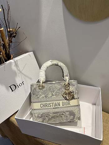 Dior Lady D-Lite Reverse 13 Size 24 x 20 x 11 cm