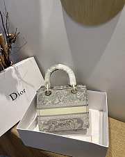 Dior Lady D-Lite Reverse 13 Size 24 x 20 x 11 cm - 3