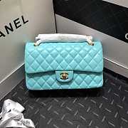 Chanel Flap bag 25cm Lambskin Gold - 1