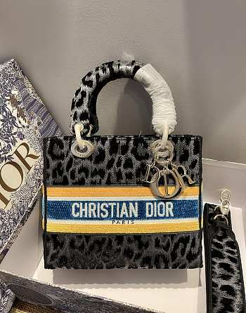 Dior Lady 01 Size 24 x 20 x 11 cm