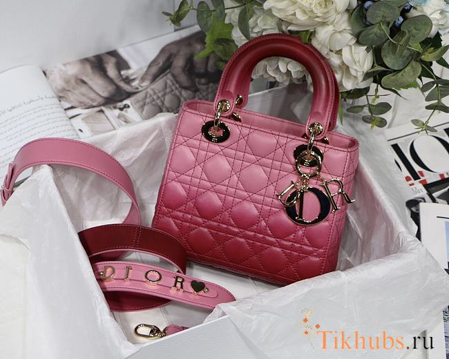 Dior Lady Gradient Rose Red M6016 Size 20cm - 1