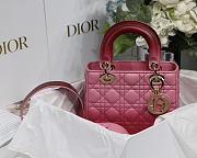 Dior Lady Gradient Rose Red M6016 Size 20cm - 5