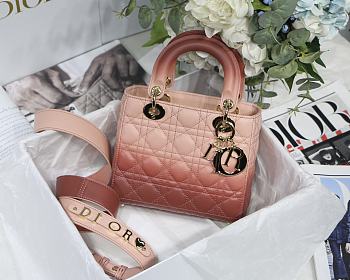 Dior Lady Gradient Pink M6016 Size 20cm