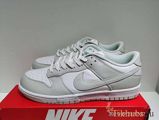 Nike Dunk Low Photon Dust (W) - DD1503-103 - 1