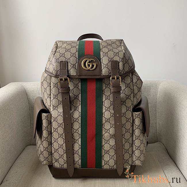 Gucci Backpack 9821 Size 42 x 32.5 x 15.5 cm - 1