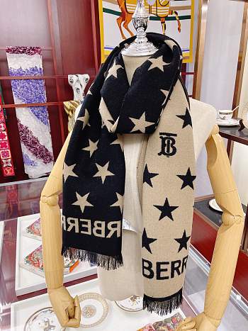 Burberry Scarf 04 180 x 35 cm