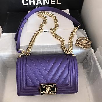 Chanel Leboy Grain Calfskin Purple 67085 Size 20 cm