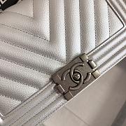 Chanel Leboy Grain Calfskin Light Gray Silver Lock 67086 Size 25 cm - 4