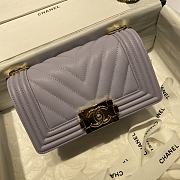 Chanel Leboy Grain Calfskin Light Purple 01 67085 Size 20 cm - 3