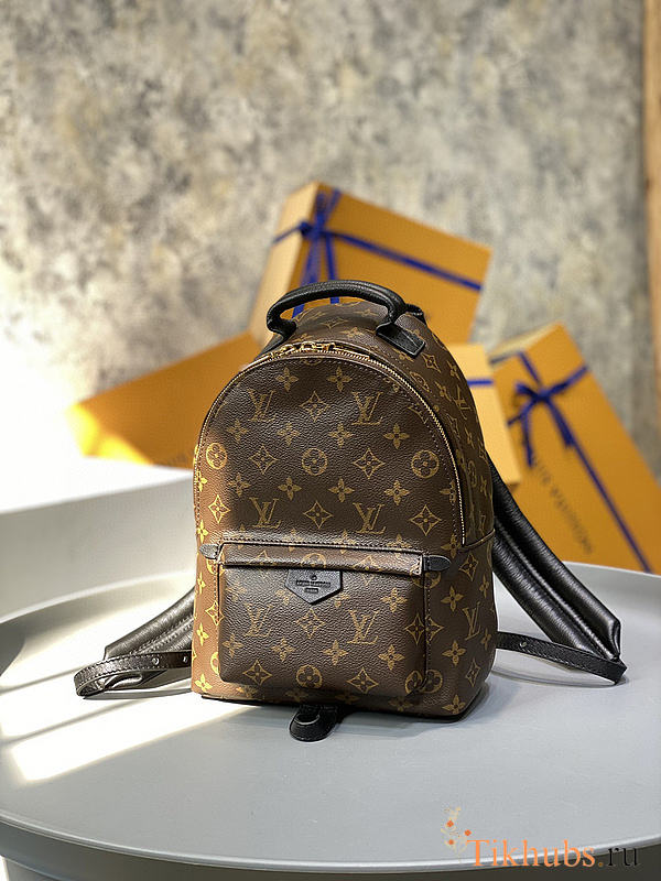 LV Palm Springs PM Monogram M44871 Size 22 x 29 x 10 cm - 1