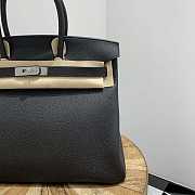 Hermes Birkin 25 Silver Hardware - 2