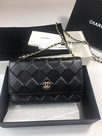 Chanel Fortune Bag 94305 Size 19 cm