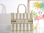 Dior Green and White Stripes Tote Book Size 41.5 x 32 x 5 cm - 1