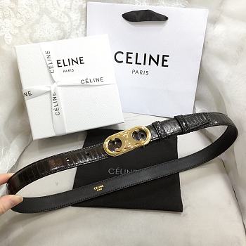 Celine Belt 03