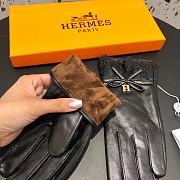 Hermes Gloves - 2