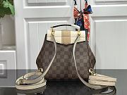 LV Clapton Backpack Damier Ebene Canvas N42259 Size 21 x 21 x 11 cm - 2