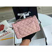 Chanel Mini Flap Bag Silver-tone Metal Caviar Leather Pink Size 20cm - 4