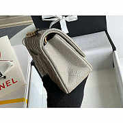 Chanel Mini Flap Bag Gold-tone Metal Caviar Leather Grey Size 20cm - 3