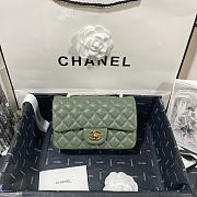 Chanel Lambskin Mini Flap Bag Gold-Tone Metal Light Green Size 20cm - 1