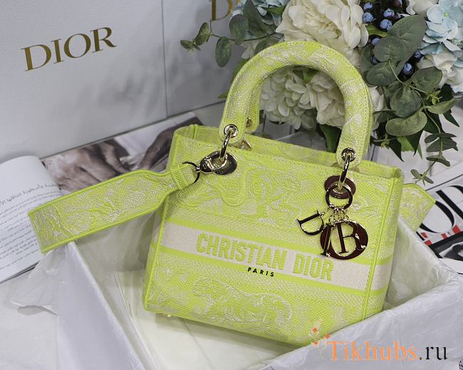 Dior Lady Luminous green M8002 Size 24 x 20 x 11 cm - 1