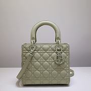 Dior Lady Ultra Matte Light Green Size 24 cm - 1