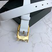 YSL Belt Size 3 cm 03 - 6