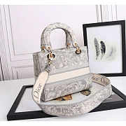 Dior Medium Lady D-Lite Handbag Grey 24x20x11cm - 4