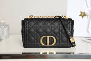 Dior Caro Black Calfskin 25.5x15.5x8cm - 1