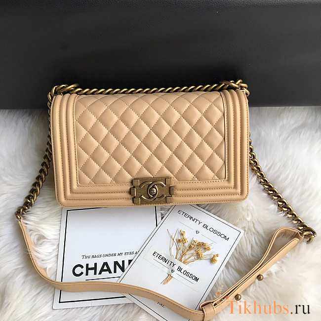 Chanel Leboy Lambskin Beige Gold 25cm - 1