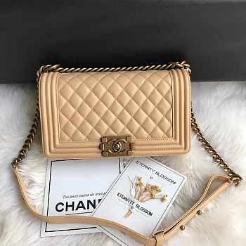 Chanel Leboy Lambskin Beige Gold 25cm