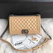 Chanel Leboy Lambskin Beige Silver 25cm - 1