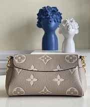 Louis Vuitton LV Favorite Grey Bag 24 x 14 x 9 cm - 4