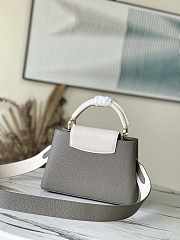 Louis Vuitton LV Capucines BB Steeple Gray 27 x 18 x 9 cm - 4