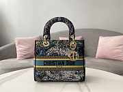 Dior Lady D-lite Blue Bag 24cm - 1