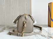 Louis Vuitton LV Speedy 20 Grey 20.5 x 13.5 x 12 cm - 5