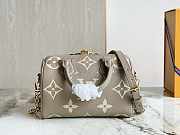 Louis Vuitton LV Speedy 20 Grey 20.5 x 13.5 x 12 cm - 3