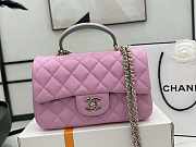 Chanel Mini Flap Bag With Top Handle Pink and Green 20x12x6cm - 1