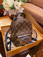 Louis Vuitton Mini Backpack Palm Springs 17x22x10cm - 1