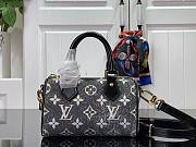 Louis Vuitton LV Nano Speedy Gray 16x11x9cm - 1