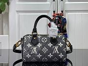 Louis Vuitton LV Nano Speedy Gray 16x11x9cm - 4