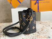 Louis Vuitton LV Nano Noe Tourterelle Black 13 x 16 x 10 cm - 4