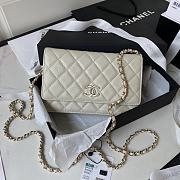 Chanel 23S WOC Caviar Gray 19cm - 1