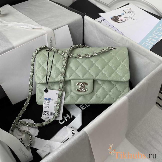 Chanel Classic Flap Small Bag Caviar Silver Light Green 23cm - 1