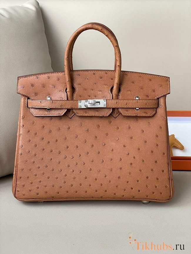 Hermes Birkin 25 Brown Ostrich Leather Silver Buckle 25cm - 1