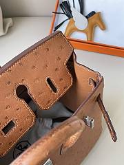 Hermes Birkin 25 Brown Ostrich Leather Silver Buckle 25cm - 2